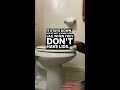 bathroom etiquette lid down