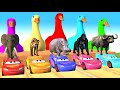 Long Slide Game With Elephant Gorilla Buffalo Hippopotamus Tiger - Funny 3d Animals Ep648