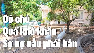 Sợ nợ xấu, cô chú phải bán ngôi nhà vườn xịn xò, đúng chất nghĩ dưỡng