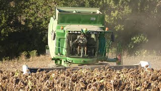 Moisson du tournesol 2024 | John Deere T560i \u0026 Moresil GB 600