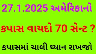 કપાસમાં ખેડૂતો ધ્યાન રાખજો અમેરિકાનો ન્યૂયોર્ક કોટન વાયદો 70 સેન્ટ ઉપર ? કપાસમાં તેજીની શક્યતા ? રૂ