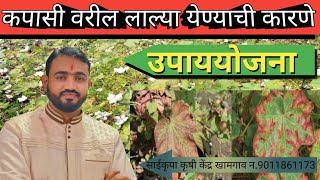 |कापूस लाल्या रोग नियंत्रण |red leaf in cotton| kapus lalya rog|sheti vishayak mahiti