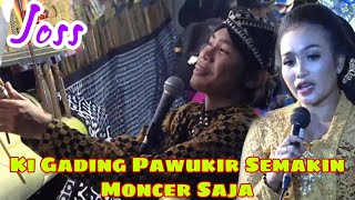 Ki Gading Pawukir Semakin Moncer Saja