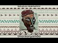 nduduzo makhathini unonkanyamba visualizer