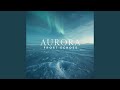 Aurora Frost Echoes