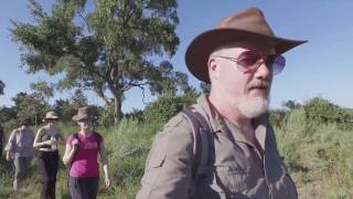 Maun to the Okavango Delta by 4WD and mokoro, walking safari