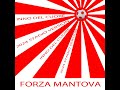 forza mantova 2024 stadio version