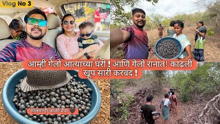 Vlog 3! आम्ही गेलो आत्याच्या घरी ! आणि गेलो रानात! काढली खूप सारी करवंद!#kokan #village #travel #fun