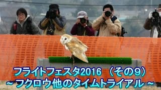 フライトフェスタ2016 (9/10)フクロウ他のタイムトライアル【FHD】