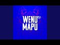 Wenu Mapu