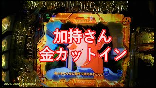 【新世紀エヴァンゲリオン～未来への咆哮～】加持さん金カットイン