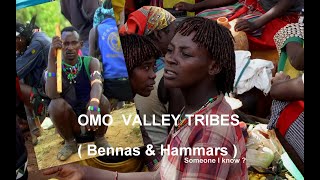 Ep 41 Go Africa Go - Omo Valley Tribes ( Ari, Bennas \u0026 Hammars )