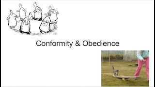 AP Psychology - Unit 9: Social Psychology, Part 2: Conformity & Obedience