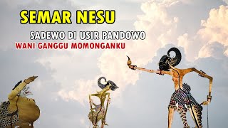 SEMAR KADUNG NESU SADEWO DI USIR PANDOWO