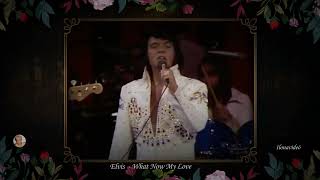 Elvis Presley - What Now My Love - Mi van most, szerelmem, most, hogy elhagytál......
