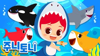 상어 총출동🦈 | 뾰족뾰족 이빨! 상어 모두 모여라 | 상어송 | 샤크송 | 바다동물동요 | 동요 연속듣기 | 주니토니 | JunyTony