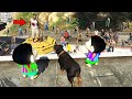 GTA 5 : Franklin Killed Shinchan And Pinchan & Become Zombie In GTA 5 ! (GTA 5 mods)