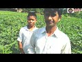 राधिका भिंडी में क्या है खासियत radhika bhindi seeds kis tarah ka hai paidavar farmer rajesh maurya.