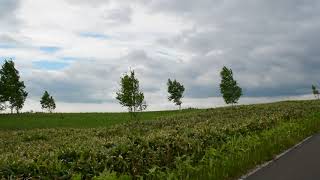 丸瀬布大平高原（北海道遠軽町）（8）Taihei Highlands（Engaru-Hokkaido）