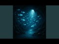 River of Light