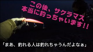 朝まづめサーフで釣る海サクラ【北海道 サクラマス】