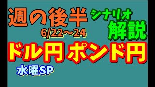 【FXでお稼ぎ】具体的数値を使いトレードシナリオわかりやすく解説