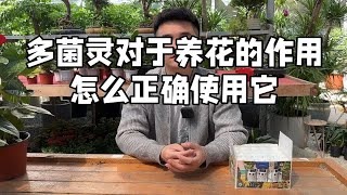 多菌灵对于养花的作用 怎么正确使用它