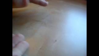 WFB Advanced Tutorial: The Dice