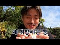 서울 도넛 어디가 제일 맛있을까 카페노티드 버터북 랜디스도넛 올드페리도넛 seoul donut mukbang