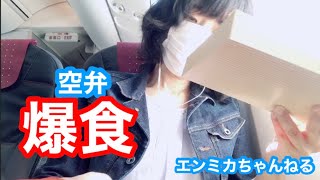 羽田空港から釧路空港に着陸JAL便｜空港からフィッシャーマンズワーフMOOまでの行き方【北海道旅行】