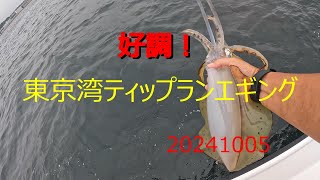 【ティップランエギング】東京湾ティップランエギング20241005