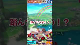 【スマブラSP】リトマのKOが...