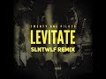 Levitate (SLNTWLF Remix) | Twenty One Pilots