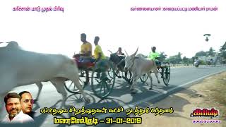 சின்ன மாடு முதல் பிரிவு மணமேல்குடி 31-01-2019 chinna mattu vandi panthayam