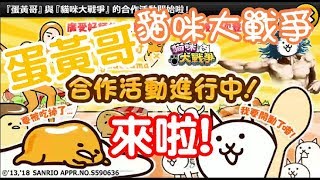 《哲平》手機遊戲 貓咪大戰爭 - 蛋黃哥 X 貓咪大戰爭 - 軟爛中 ★★ ★★★ 關卡全記錄  ( 蛋黃哥第二彈來襲! 一金卷抽下去! )