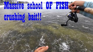 Massive school OF FISH crushing bait!! (Pompano Fishing)