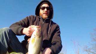 Z Man Chaterbait Bass Fishing Z Man Chaterbait Bass Fishing