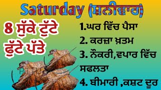 Saturday (ਸ਼ਨੀਵਾਰ) ਟੁੱਟੇ ਫੁੱਟੇ ਪੱਤੇ ਦਾ ਉਪਾਅ ਪੈਸਾ, ਸੁੱਖ,ਆਏਗਾ,ਕਰਜ਼ਾ,ਬੀਮਾਰੀ,ਦੁੱਖ ਸਭ ਭੱਜ ਜਾਣਗੇ #upay