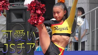 【4K JSチア】2015年柏まつり可愛いJSチア【Japan Cheer leading】