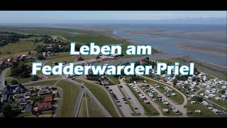 Leben am Fedderwarder Priel