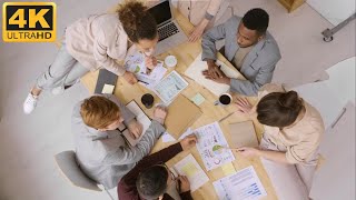 Office Consult - People Working As A Team / Group Meeting | Business 4K Footage Free Download