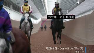 ラッキーバトル2019　2021年1月の調教