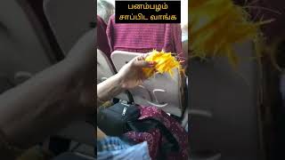 பனம்பழம் சாப்பிட வாங்க | Palm fruit | Shorts | SR Amma Kitchen |