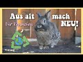 Aus ALT mach NEU! - RECYCLING für Kaninchen 🐰✨ // Meine Mümmler