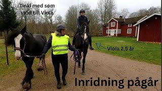 Inridning pågår - skrittar med Viola och rider Indra & Trudi