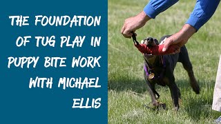The Foundation of Tug Play in Puppy Bite Work with Michael Ellis