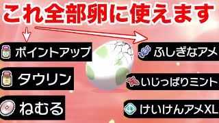 【ポケモンソード】卵にポイントアップやタウリンなどが使えるバグがヤバい！史上最高のバグポケモンが作れる？！【最新作の攻略実況プレイ】