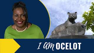 I am Ocelot: Marie Walker, Registered Nurse, Hegira Health, Inc.