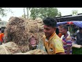 ফরিদপুরের মধুখালী পাটের হাট panorama haat bazar