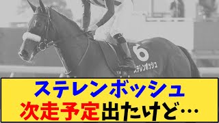 【競馬】「ステレンボッシュ次走予定出たけど…」に対する反応【反応集】